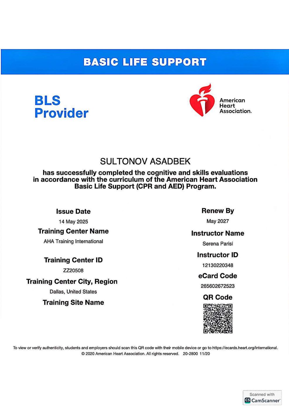 American Heart Association BLS provider certificate